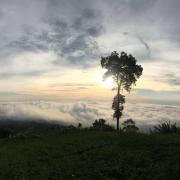 วิวหน้าเตนท์