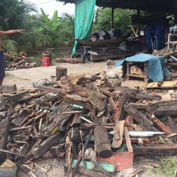 วัตถุดิบคือไม้ มาทำถ่าน