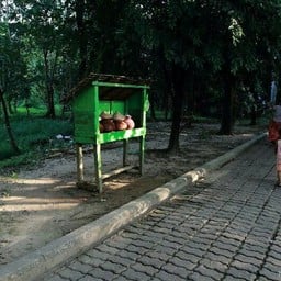 ปางช้างเผือกหลวง Yangon Myanmar
