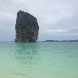 ฝนเพิ่งตก