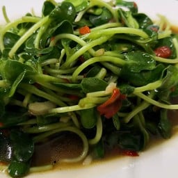 ต้นอ่อนทานตะวันมันหอย