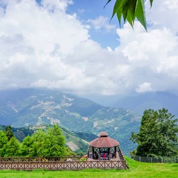 Green Green Grassland 青青草原