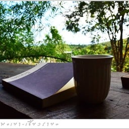 กาแฟตอนเช้า