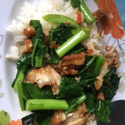 โบว์แดง