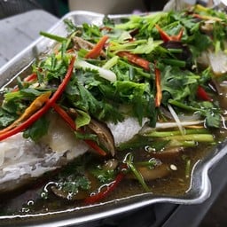 ปลากะพงนึ่งซีอิ๊ว