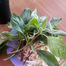 ฟรี