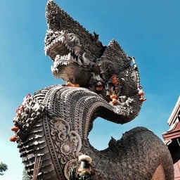 วัดป่าคลอง 11