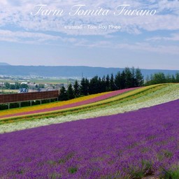 Tomita Farm