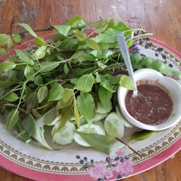 ร้านป้าเนียนลุงวิทย์