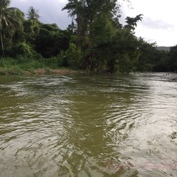 ล่องเรือ