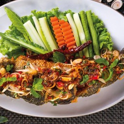 ปลาช่อนเกยตื้น