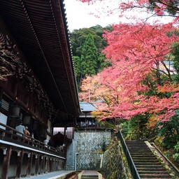 Zenrinji (Eikando) Temple