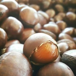 เกาลัด เจ๊เฮียง สาขา 2 (โกลเด้นเพลสสะพานสูง_รามคำแหง) โกลเด้นเพลสสะพานสูง-รามคำแหง