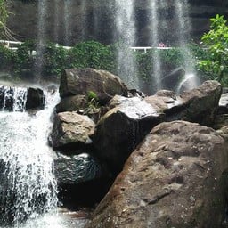 ขอบคุณรูปภาพจาก FB คุณ Waraporn Palaherm