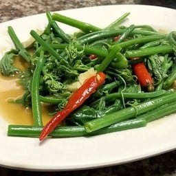 ยอดมะระไฟแดง