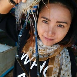 กุ้งตัวใหญ่สมราคา