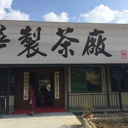 โรงงานชาอูหลงออแกนนิค