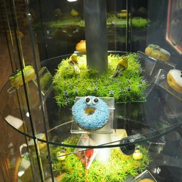 display โดนัทรสแนะนำ  monster