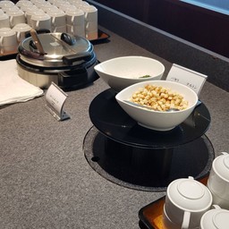 Toya Sun Plalace Resort&spa