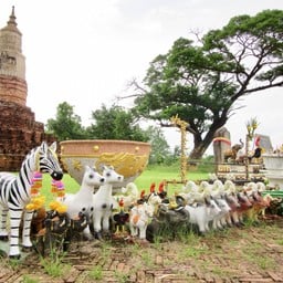 พระธาตุยาคู