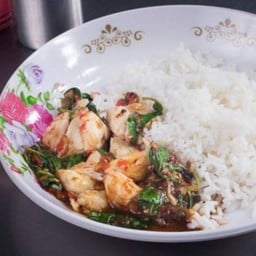 กะเพราปู