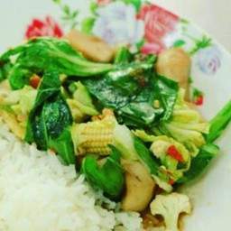 ผัดผักรวมมิตรมังสวิรัตร