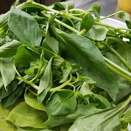 ข้าวแกง สวนสมเด็จย่า