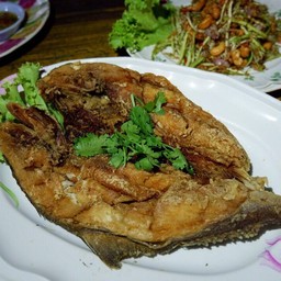 ปลาสำลีแดดเดียว550