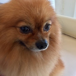 น้องมอนเตอร์น่ารัก
