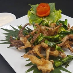หนวดปลาหมึกแดดเดียว