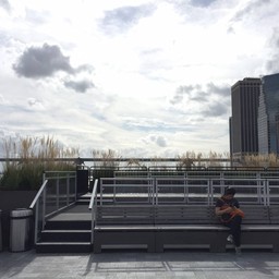 ดาดฟ้า ลานแสดงคอนเสิร์ต