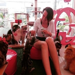 Neko Cat Cafe Phuket