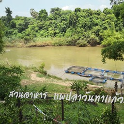 ติดน้ำ​ แพปลาตายายเลี้ยงเอง