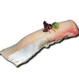 Kanpachi (sushi)