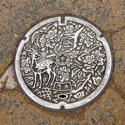 Nara Park