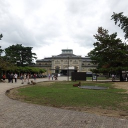 ลานกว้างๆๆ