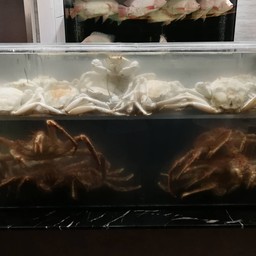 Snow crab and Alaskan King Crab