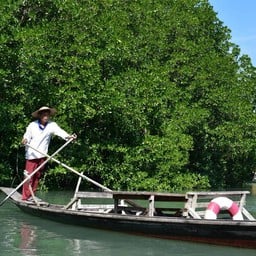 เรือมาด(กอนโดลา) กำลังเข้าเทียบท่า