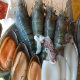 กุ้งแม่น้ำ ปลาหมึก หอยแมลงภู่