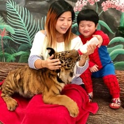 My Pet 🐯🐯😆😍