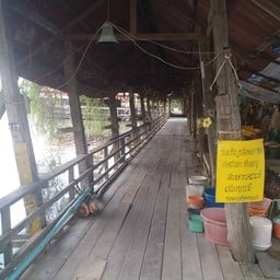 ปล่อยเต่าปลาไหลในบึง