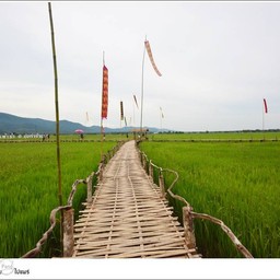 ดอยนาฟ้าน้ำ ปงท่าข้าม