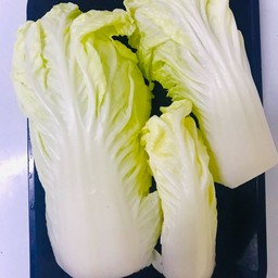 ผักกาดขาว