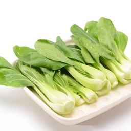 ผักไต้หวัน