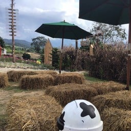 หอมแผ่นดินฟาร์ม