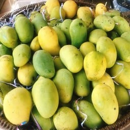 ข้าวเหนียวมะม่วงคุณวริศนันท์