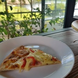 Pine Camp แคมป์สน ชัยภูมิ