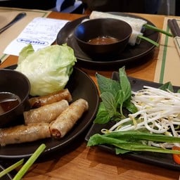 Pho24