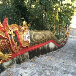 บันไดนาคหรือมะกอนทางขึ้นไปกราบนมัสการ พระธาตุก้าวหน้า มหามงคลคีรี ศรีเมืองกื้ด