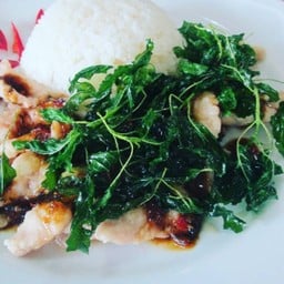 ข้าวหมูนุ่มซอสกะเพรา Spicy basil sauce with steam pork